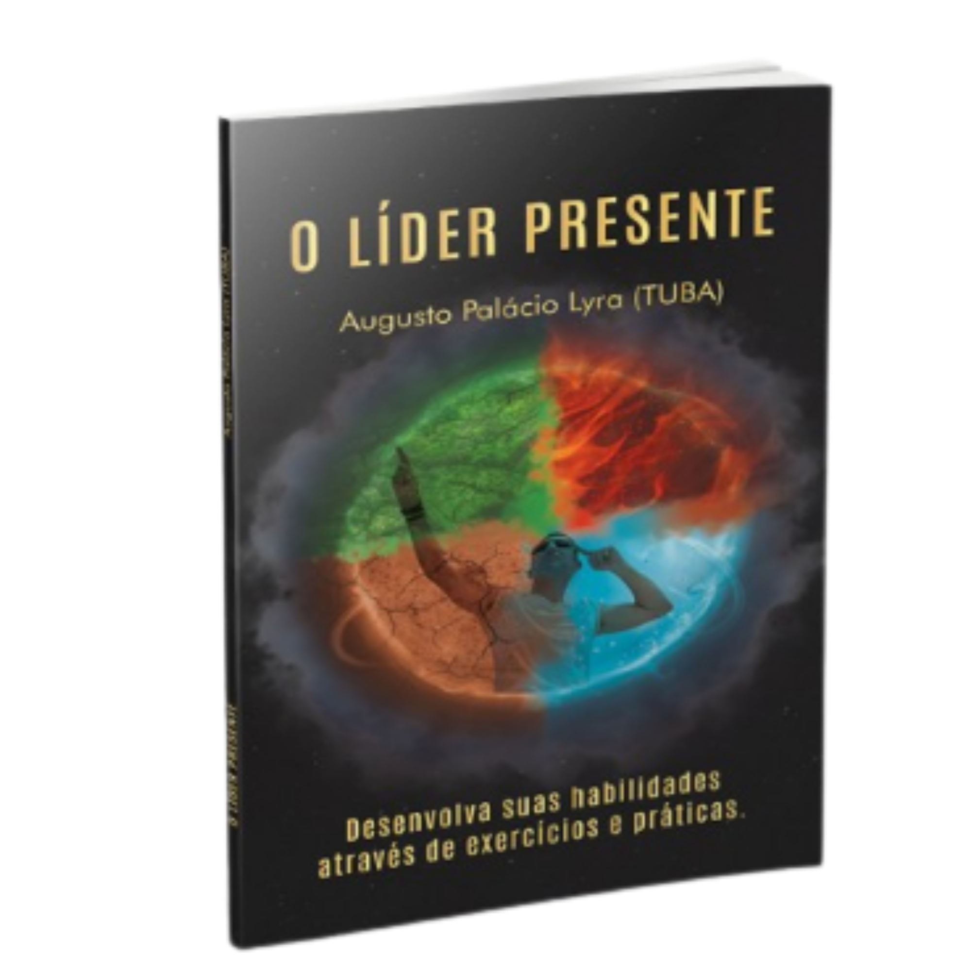 Capa do livro O Líder Presente